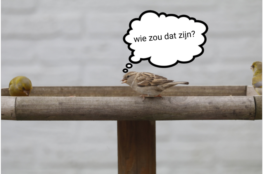 Vogelcusus - Wie kent wie?